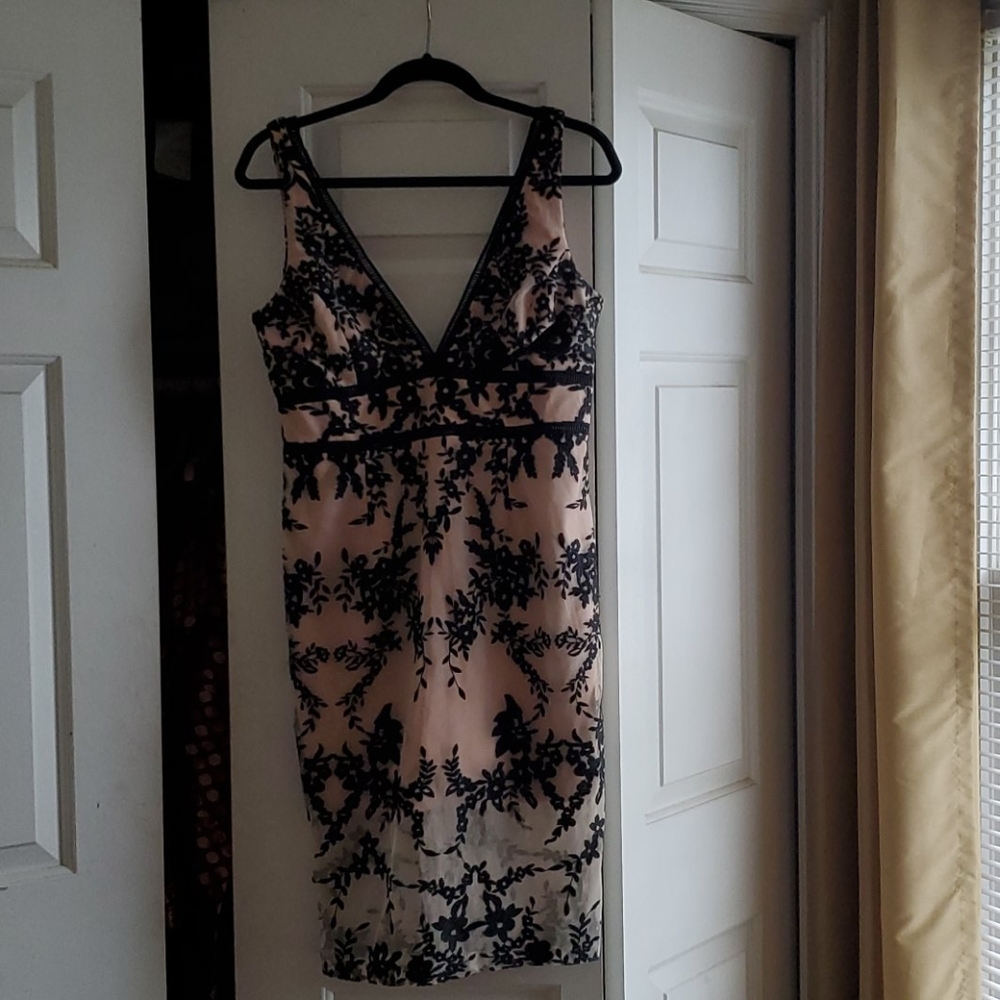 Bardot Lace Dress
